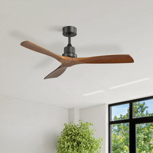 Nicola 52'' Ceiling Fan